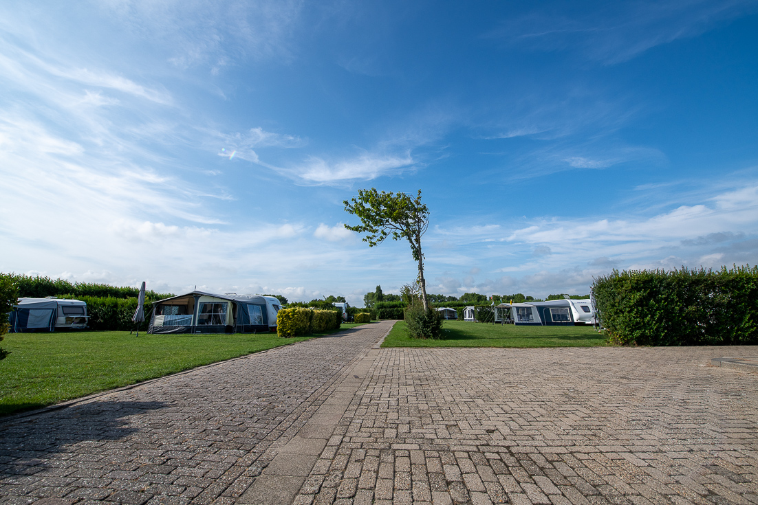 Boonepolder web-6146